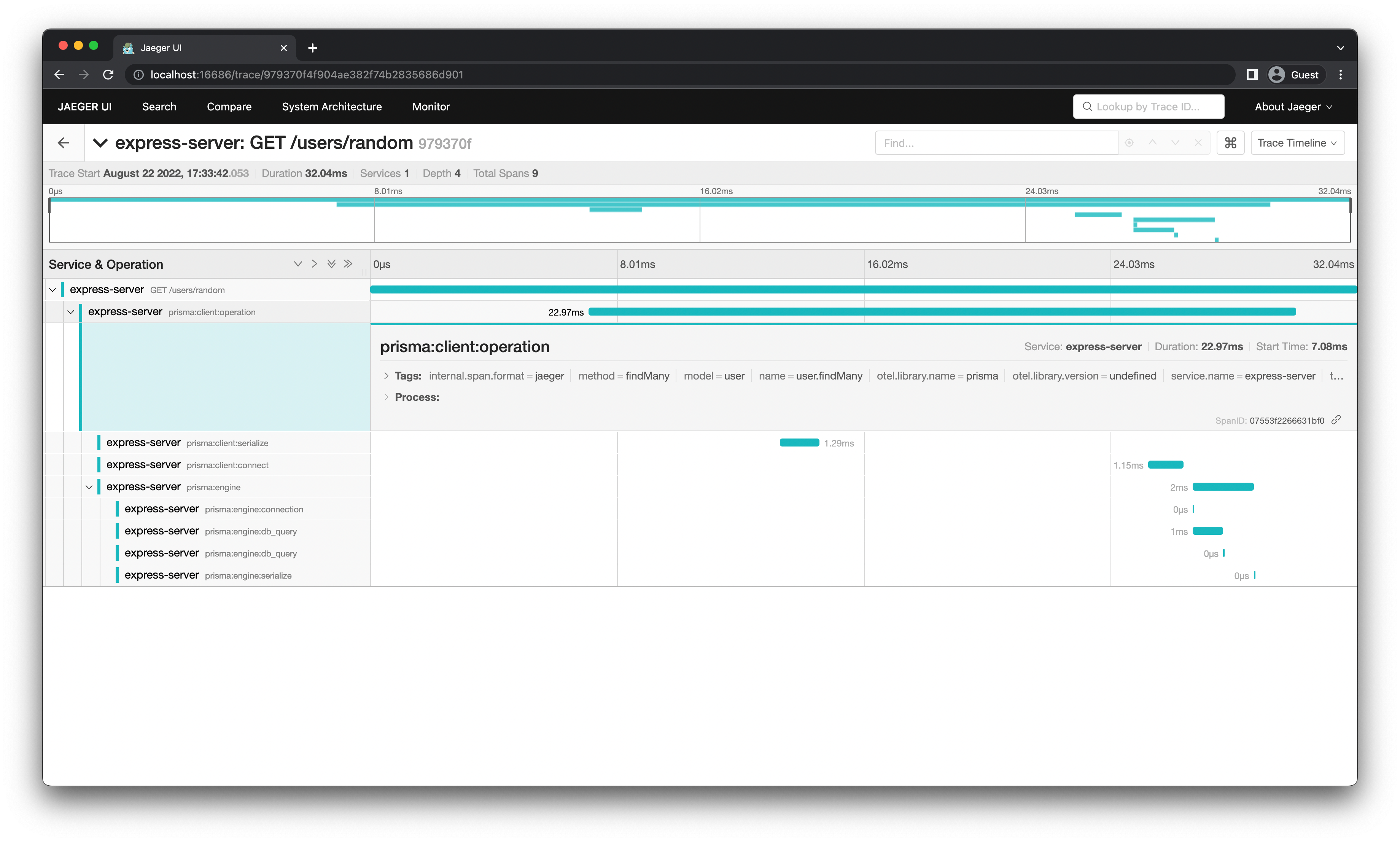 Visualization of automatic instrumentation with Prisma