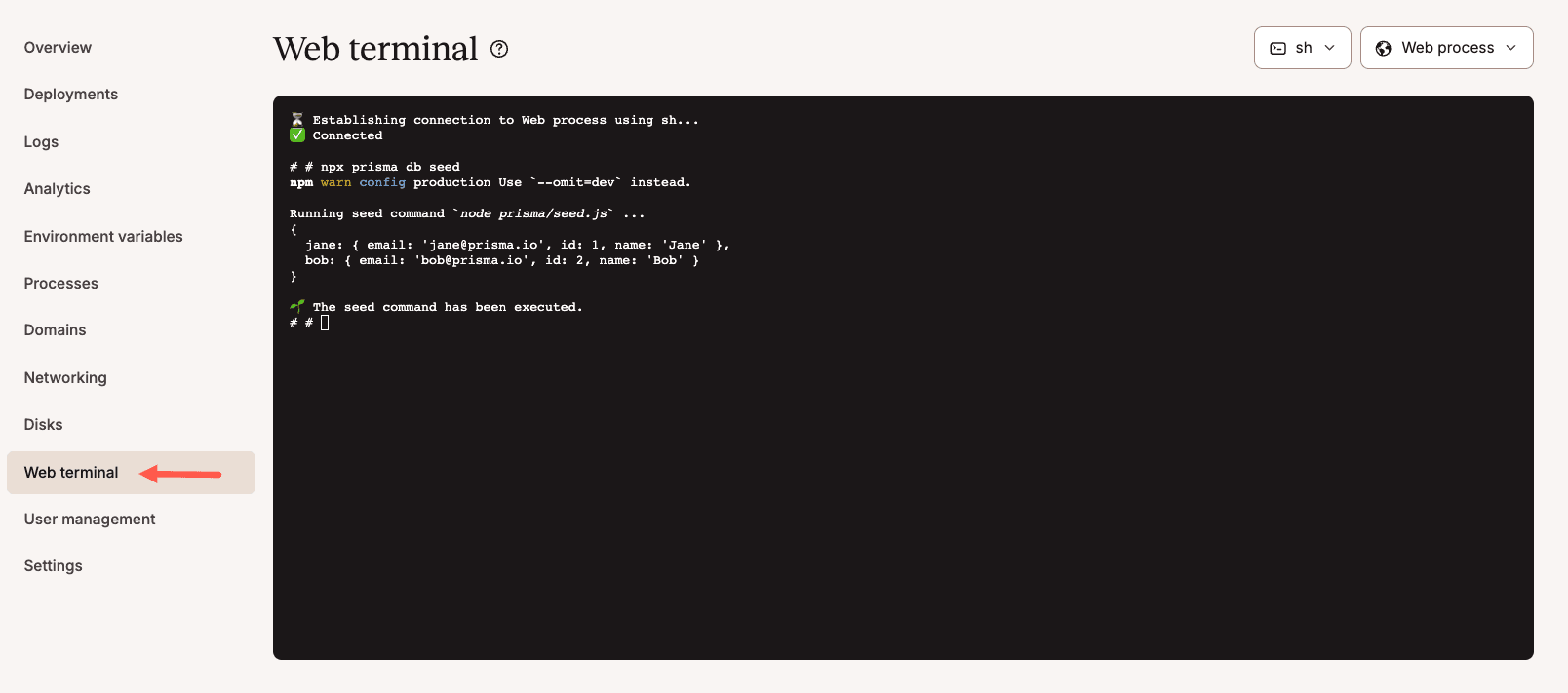 Sevalla web terminal interface