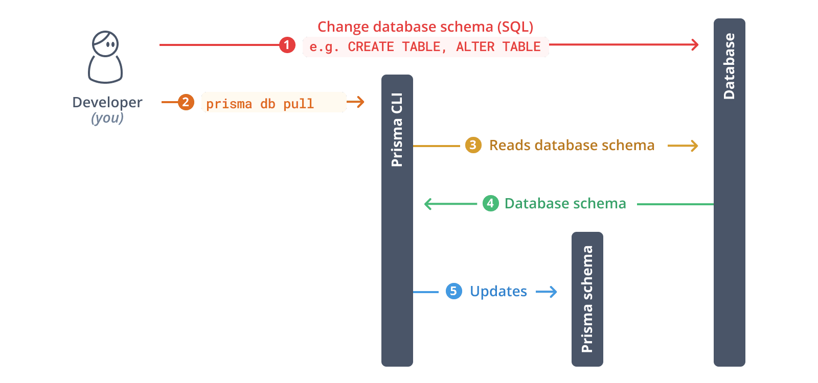 Introspect your database with Prisma